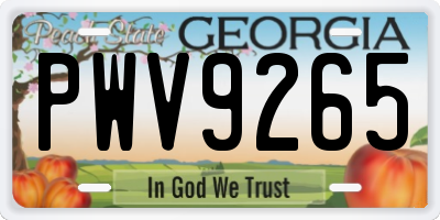 GA license plate PWV9265