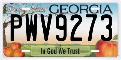 GA license plate PWV9273