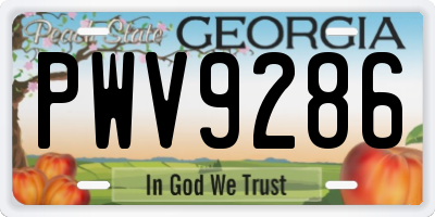 GA license plate PWV9286