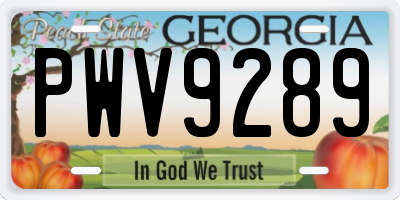 GA license plate PWV9289