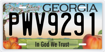 GA license plate PWV9291