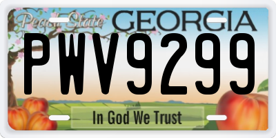GA license plate PWV9299