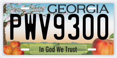 GA license plate PWV9300