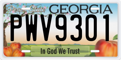 GA license plate PWV9301