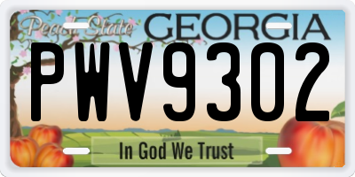 GA license plate PWV9302