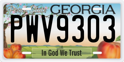 GA license plate PWV9303
