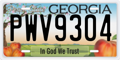 GA license plate PWV9304