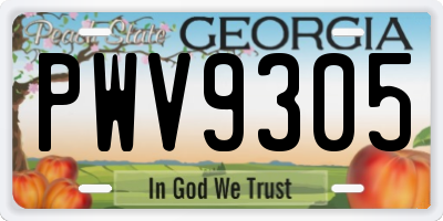 GA license plate PWV9305