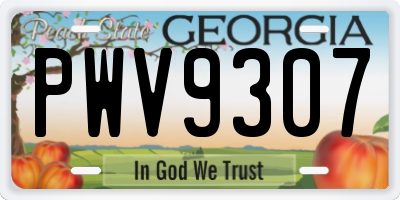 GA license plate PWV9307
