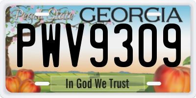 GA license plate PWV9309