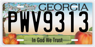 GA license plate PWV9313