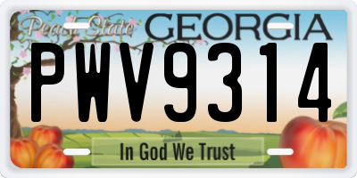 GA license plate PWV9314