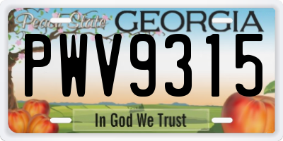 GA license plate PWV9315