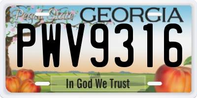 GA license plate PWV9316