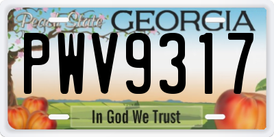 GA license plate PWV9317