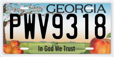 GA license plate PWV9318