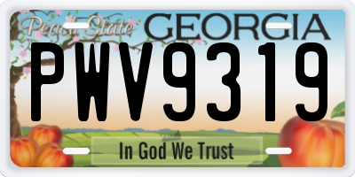GA license plate PWV9319