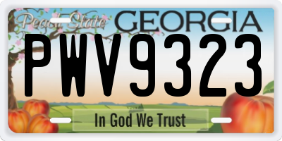 GA license plate PWV9323
