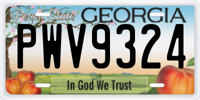 GA license plate PWV9324