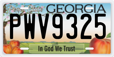GA license plate PWV9325
