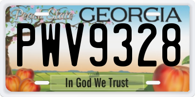 GA license plate PWV9328