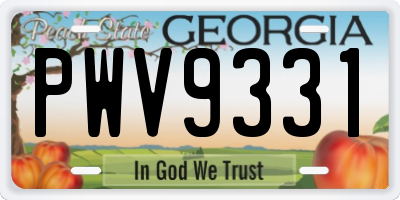GA license plate PWV9331