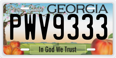 GA license plate PWV9333