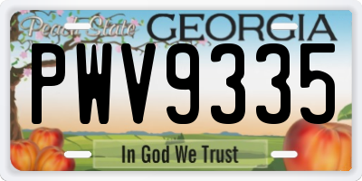 GA license plate PWV9335