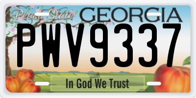 GA license plate PWV9337