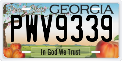 GA license plate PWV9339