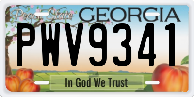 GA license plate PWV9341