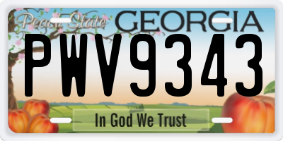 GA license plate PWV9343