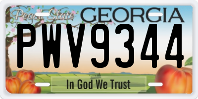 GA license plate PWV9344
