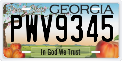 GA license plate PWV9345