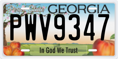 GA license plate PWV9347