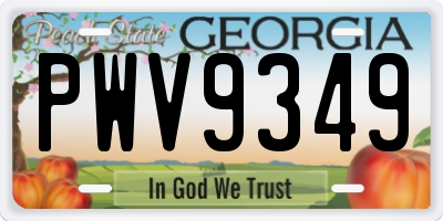 GA license plate PWV9349