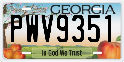GA license plate PWV9351