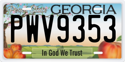 GA license plate PWV9353