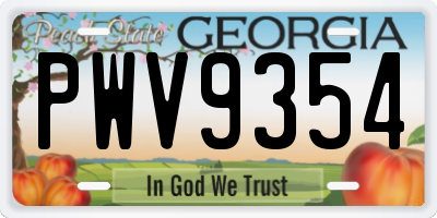 GA license plate PWV9354