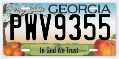 GA license plate PWV9355