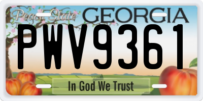 GA license plate PWV9361
