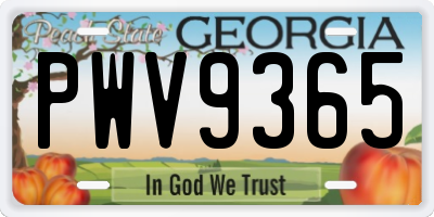 GA license plate PWV9365