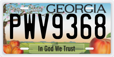 GA license plate PWV9368