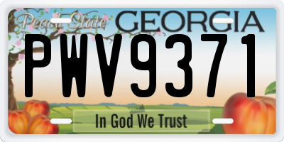 GA license plate PWV9371