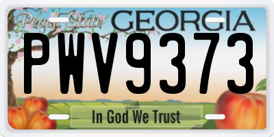 GA license plate PWV9373