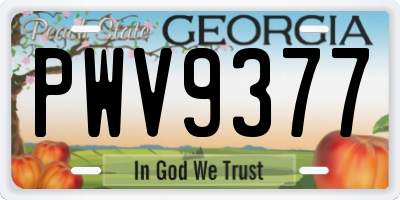 GA license plate PWV9377