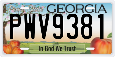 GA license plate PWV9381