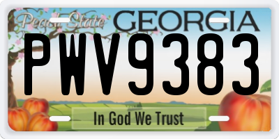 GA license plate PWV9383