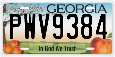 GA license plate PWV9384
