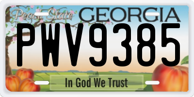 GA license plate PWV9385
